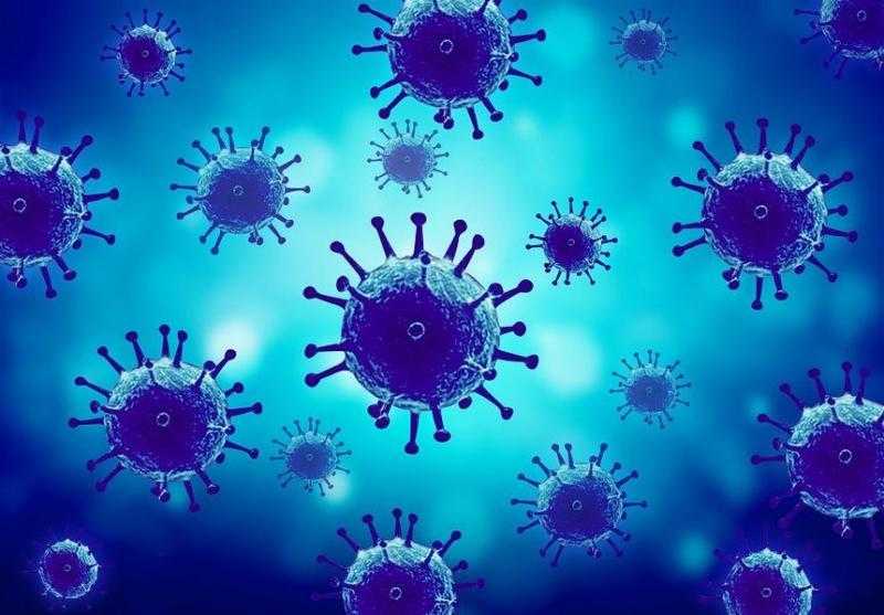 Мифы и правда о коронавирусе: где можно пройти специальный тест и как обезопасить себя