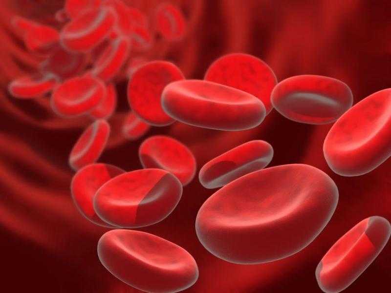 Группа крови: что может выявить самый обычный анализ, как улучить показатели и есть ли влияние на характер 