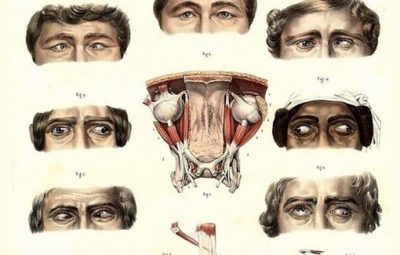 В 1830 году знаменитый врач, доктор медицины Жан Батист Марк Буржери создал «Атлас анатомии…