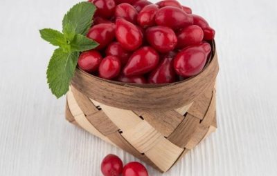 [club58645945|Кизил] Одна ягодка кизила весит около 4-5 грамм. Сочная мякоть составляет примерно 75-85% всего…