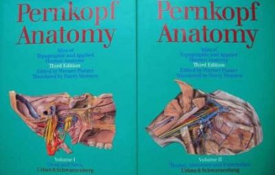 Анатомический атлас Эдуарда Пернкопфа Один из самых знаменитых анатомических атласов XX века создавался группой…