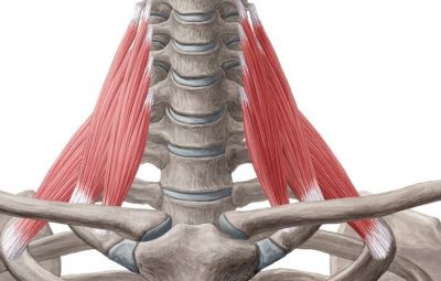 Синдром средней лестничной мышцы (цервико-скапулалгия) https://m.vk.com/@med_sport-sindrom-srednei-lestnichnoi-myshcy-cerviko-skapulalgiya Article
