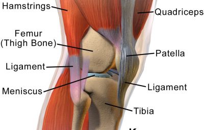 Почему травмы колена зачастую не заживают? https://m.vk.com/@med_sport-pochemu-travmy-kolena-zachastuu-ne-zazhivaut Article