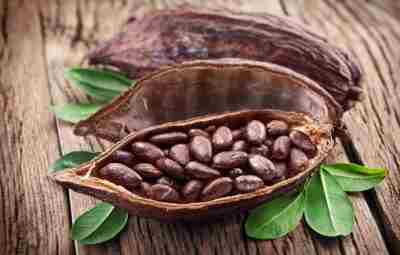Полезные свойства какао-бобов Какао-бобы являются семенами плодов дерева какао. Из них изготавливают шоколад. Из-за…