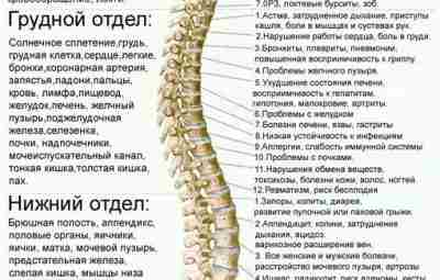 Психосоматика искривления позвоночника 🧘‍♀ 1Ш Страх. Смятение. Бегство от жизни….