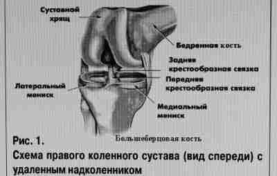 ФИЗИЧЕСКАЯ РЕАБИЛИТАЦИЯ ПОСЛЕ АРТРОСКОПИЧЕСКОГО ВОССТАНОВЛЕНИЯ ПЕРЕДНЕЙ КРЕСТООБРАЗНОЙ СВЯЗКИ. Передняя крестообразная связка является важным внутрисуставным…