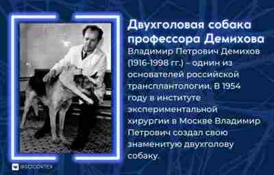 Сегодня я расскажу о Владимире Петровиче Демихове (1916-1998 гг.) –…