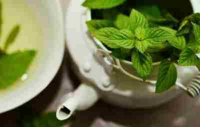Травяные чаи, которые помогут поддержать бодрость на целый день: Зеленый чай с мятой и…