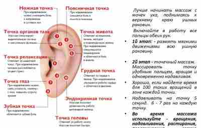 Массаж ушей — здоровье всего тела Воздействуя на биологически активные точки на ухе, вы…