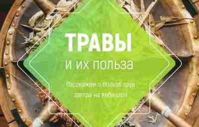 Хотите научиться всем тонкостям травничества и узнать о растениях все, что только можно? Тогда…