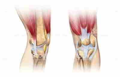 Тесты при повреждении коленного мениска Мениски — важная составляющая некоторых суставов. Они выполняют функцию…
