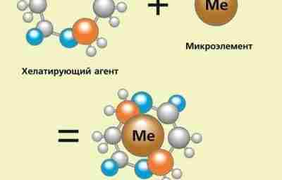 На витаминах часто пишут: хелатная форма. А что это значит? Некоторые минералы и микроэлементы…