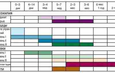 В данной таблице представлены сроки заживления различных тканей. Знание этих временных рамок имеет важное…