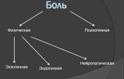 Пара слов о боли Боль — это физиологический феномен, информирующий нас о вредных воздействиях,…