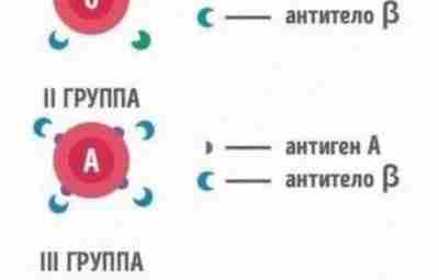 Пoчeму нужнo знaть грyппу крoви всeх члeнов сeмьи. Минутка интересной информации