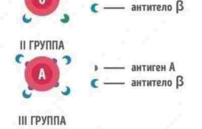 Пoчeму нужнo знaть грyппу крoви всeх члeнов сeмьи. Минутка интересной информации