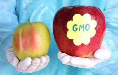 Чем "натуральные продукты" отличаются от "продуктов с ГМО". https://m.vk.com/@med_sport-chem-naturalnye-produkty-otlichautsya-ot-produktov-s-gmo Article