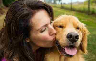Вредно ли целоваться со своей собакой Во рту собаки обитают сотни различных типов бактерий,…