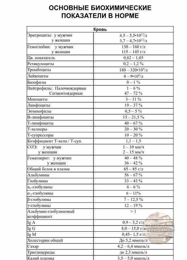 Основные анализы биохимического анализа. Биохимический анализ крови показатели нормы. Важные показатели в биохимии крови. Основные биохимические показатели крови для женщин таблица. Норм биохимический анализ крови норма.