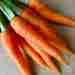МОРКОВЬ — СЕСТРА ЗДОРОВЬЯ 🥕🥕🥕 Это высокое звание морковь оправдывает своими целебными свойствами. Например,…