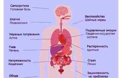 Влияние эмоций на здоровье. Замечали эту взаимосвязь у себя?