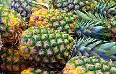Ананас Каждый, кто обожает тропические фрукты, восхитится непревзойденным, богатым вкусом и ароматом ананаса. Этот…