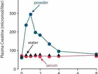 Сывороточный креатин Сывороточный креатин (англ. creatine serum) — жидкая форма креатина. Сывороточный креатин это…