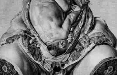 Винтажный анатомический плакат беременной женщины: