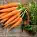 Морковь – это один из самых полезных овощей. Она богата витаминами, минералами и антиоксидантами,…
