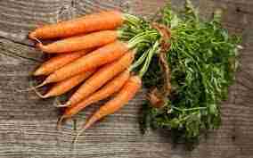 Морковь – это один из самых полезных овощей. Она богата витаминами, минералами и антиоксидантами,…