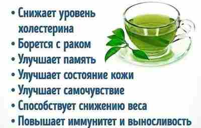 Зеленый чай — кладезь здоровья!