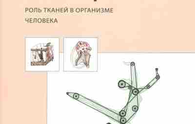 Паолетти C. — Фасции. Роль тканей в организме человека