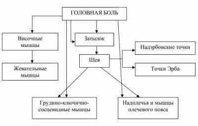 ТРИГГЕРНЫЕ ТОЧКИ: СХЕМА ЛЕЧЕНИЯ БОЛЕЙ В ГОЛОВЕ Часто причиной боли в голове является недостаточная…