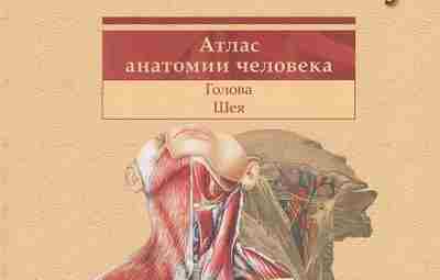 Шилкин В. В., Филимонов В. И. — «Анатомия по Пирогову. Атлас анатомии человека :…