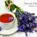 Полезные, лечебные свойства лаванды Цветочный чай оказывает на человека такое благотворное воздействие: Успокаивает, помогает…