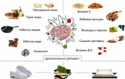 Главные бустеры для мозга