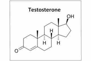 Суточные ритмы тестостерона Тестостерон – пожалуй, самый известный андрогенный гормон, проявляющий анаболические свойства по…
