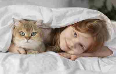 Дети, спящие в одной кровати с домашними животными — продемонстрировали более высокое качество сна,…