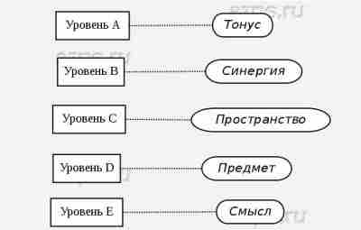 Уровни построения движения Своими исследованиями Н. А. Бернштейн (1896-1966) показал и доказал, что двигательная…