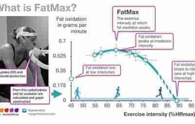 Максимальная скорость окисления жиров среди спортсменов Обзорная статья на исследовательскую работу: Maximal Fat Oxidation…
