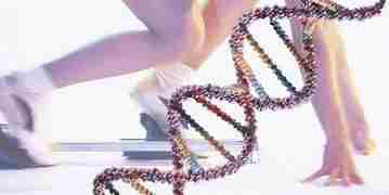Как физкультура влияет на ДНК Систематические физические упражнения меняют эпигенетическую регуляцию генов, так что…