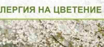 Аллергия на цветение. Аллерголог Ольга Жоголева рассказала про профилактику поллиноза и способы определения аллергенов….