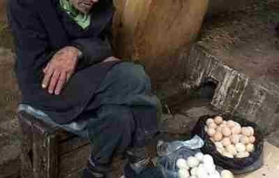 «Она спрocила его: «По скoлько ты продаешь яйца? » Старый продавец сидел у Магнита…