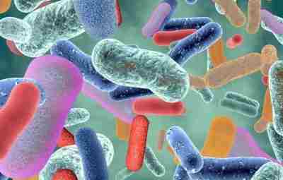 Бактерии и вирусы вокруг нас, и нам никуда от них не деться Ученые, представляющие…