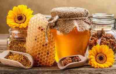 МЕД — ПИЩА БОГОВ Мед – это пыльца и нектар цветов, смешанные с пчелиной…