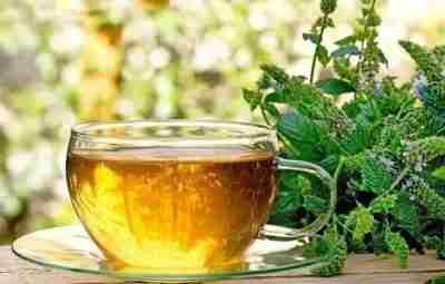 Напиток, вылечивающий от депрессии Травяной чай с мелиссой, как полагают ученые, может помочь человеку…