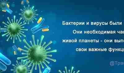 Бактерии и вирусы были всегда, есть и будут. Они такая же часть природы, необходимая…