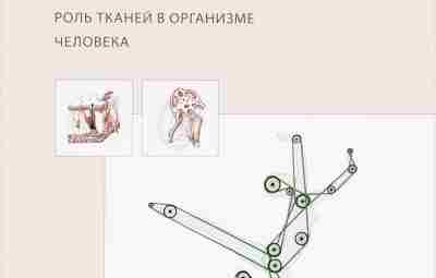 Серж Паолетти. Фасции. Роль тканей в механике человеческого организма