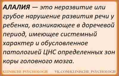 НЕЙРОПСИХОЛОГИЧЕСКАЯ КОРРЕКЦИЯ ПРИ АЛАЛИИ Отсутствие речи к двум годам — это уже тревожный сигнал,…