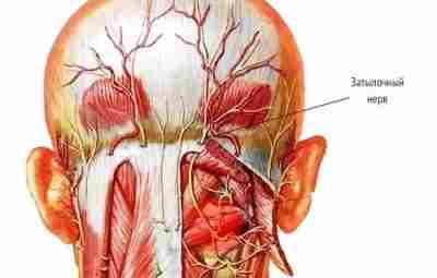 Невралгия затылочного нерва: симптомы и лечение Невралгия затылочного нерва — одна из самых частых…
